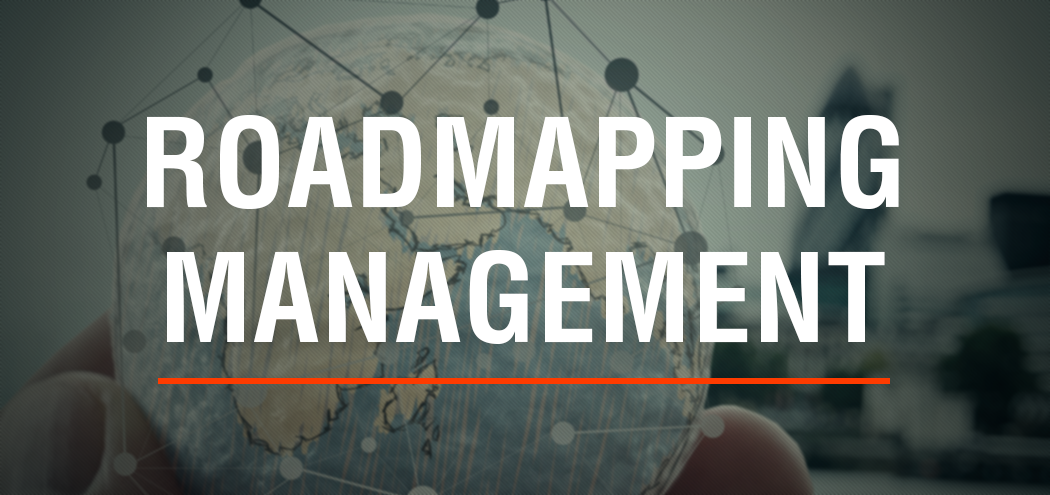 MNM Consulting Innovation Roadmapping Management